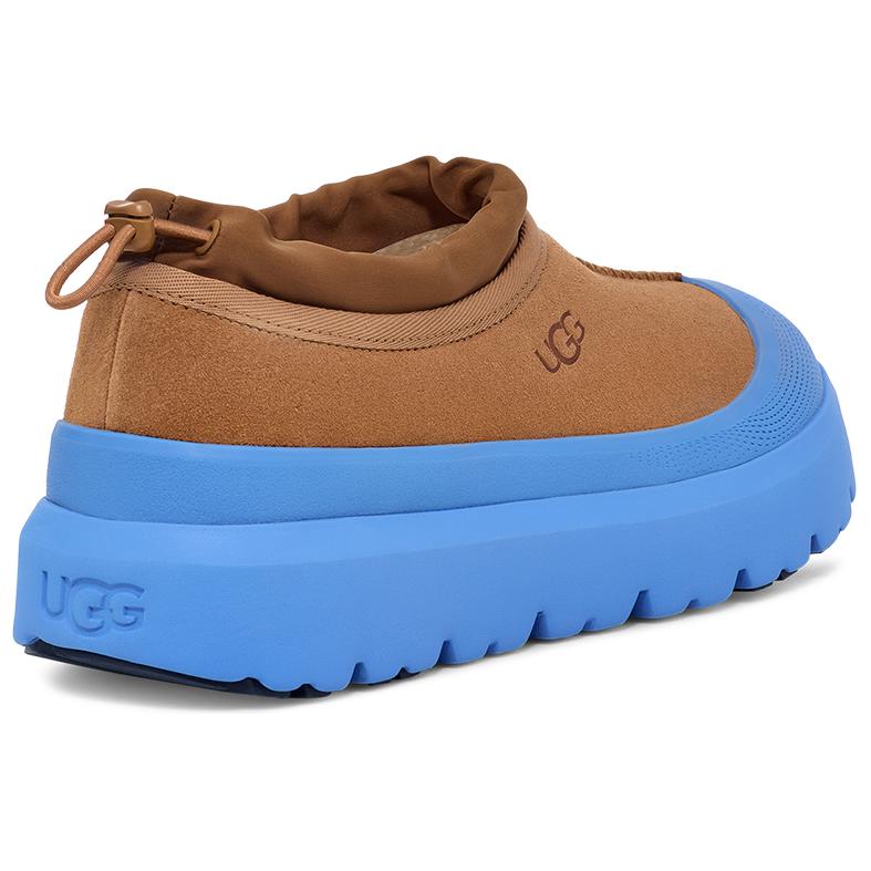UGG Tasman Weather Hybrid Slipper Chestnut Big Sky Men Sneakers Brown 1144096-CBG