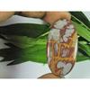 23X43X05MM Natural Noreena Jasper Oval Cabochon Loose Gemstone 48Cts SK-3824