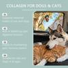 Kriath Pet Collagen Drops 60ml, Cats & Dogs. Joint Care, Skin Health, Coat Health, Gut Health, Immune System Boosting for Pets.
