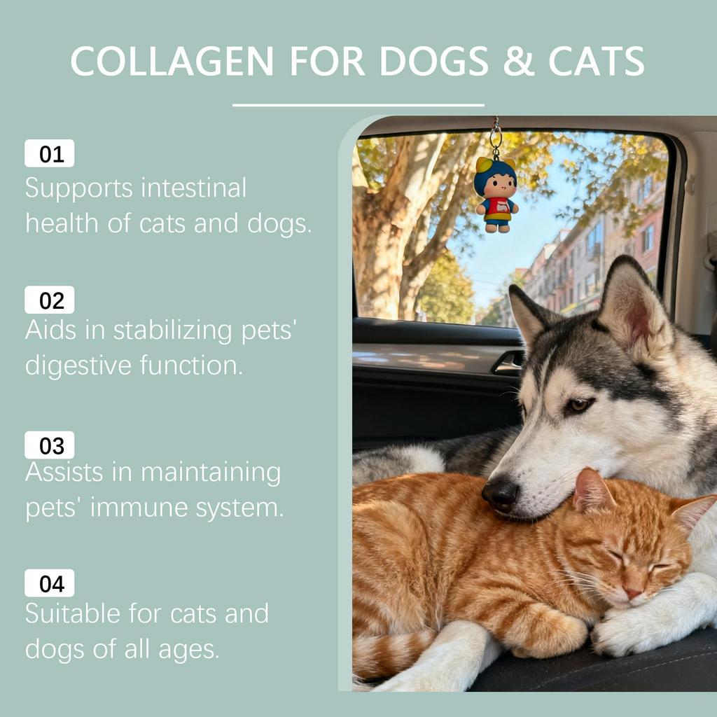 Kriath Pet Collagen Drops 60ml, Cats & Dogs. Joint Care, Skin Health, Coat Health, Gut Health, Immune System Boosting for Pets.
