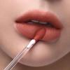 3CE Velvet Lip Tint Blush 4g