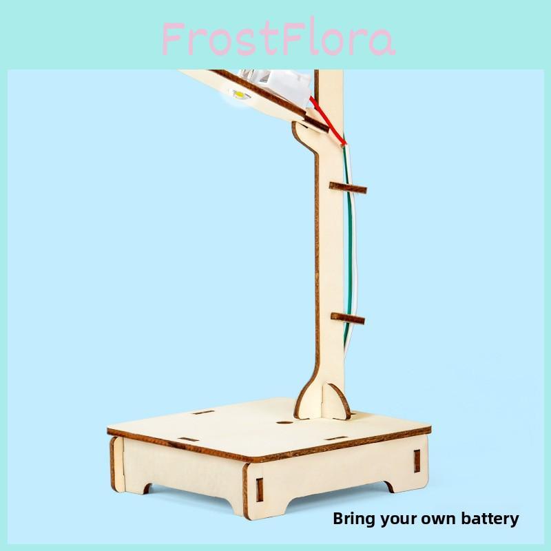 Science Diy Voiceactivated Wooden Street Light With Educational Materials For Kids