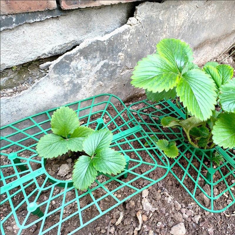 Green Strawberry Planting Stand Plastic Plant Support Cage Garden Anti-Rot Strawberry Growing Racks Holder With 3/4Sturdy Legs