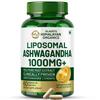 Vlado's Himalayan Organics Ashwagandha 1000mg/ Serving I Clinically Proven 100% Pure Root Extract | Stress Relief, Energy & Recovery Support I St