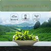 Zhang Yiyuan Premium Rich Aroma Jasmine Tea