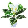 Artificial Calla Lily Flower With Plastic Pot, Artificial Flora, White Color