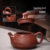 Qixuanyuan Zisha Purple Clay Teapot