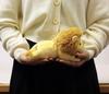 Yoshitoku Land Friends Plush Lion 180516