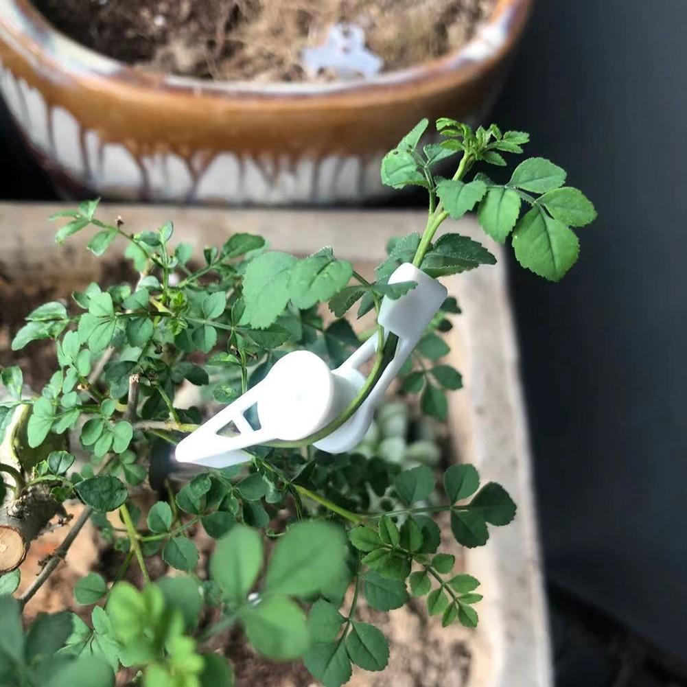 Plant Branch Bender 360 Degree 4*1cm/1.57* 0.4 Inch Clips