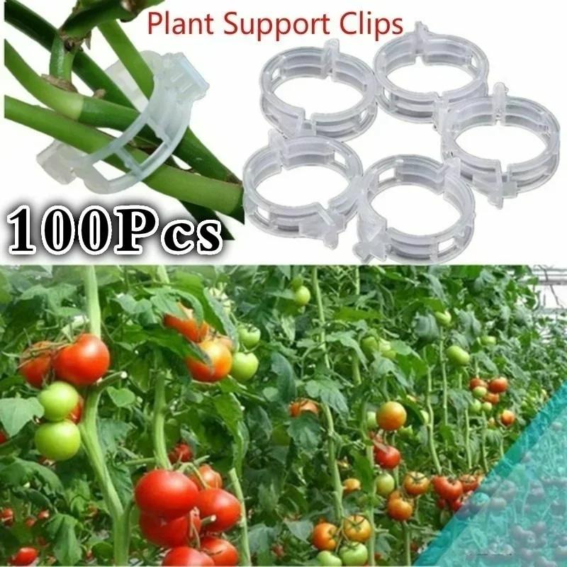 

100Pcs Plastic Plant Support Durable Clear Support Clips Vine Garden Vegetables 23mm for Types Plants Hanging Garden Support 100pcs