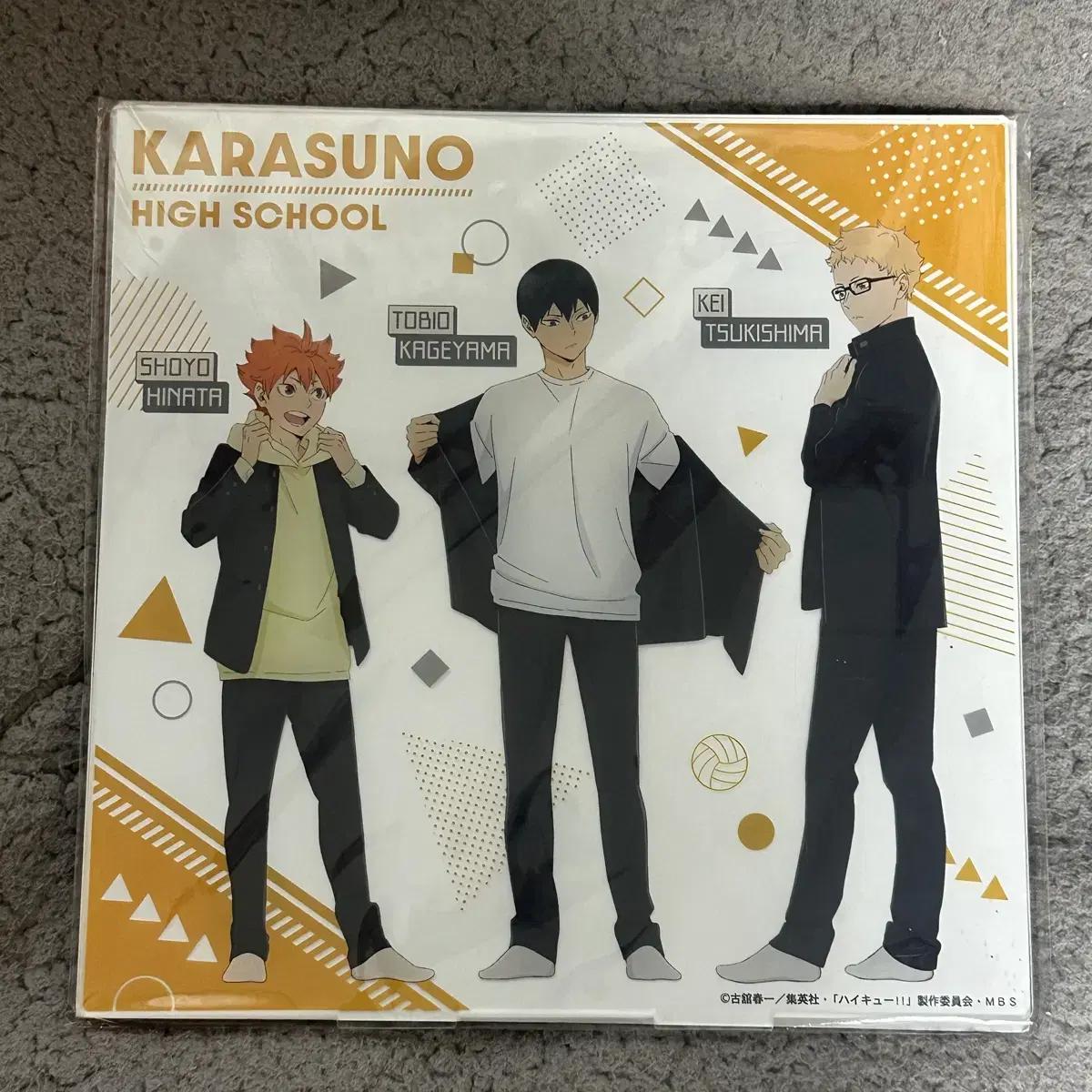 

Haikyu Rare Big Acrylic Stand Karasuno