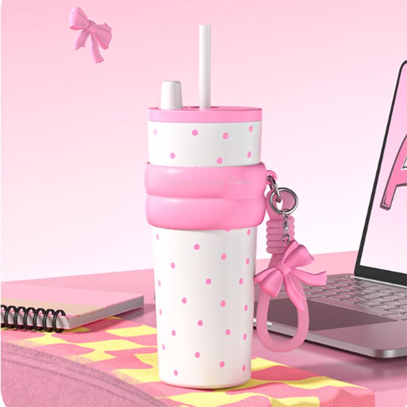 Stainless Steel Insulated Straw Tumbler