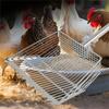 Extended Handle Poultry Sifting Shovel MultiPurpose Cleaning Tool Litter Scooper for Chicken Coops and Pet Waste Removal
