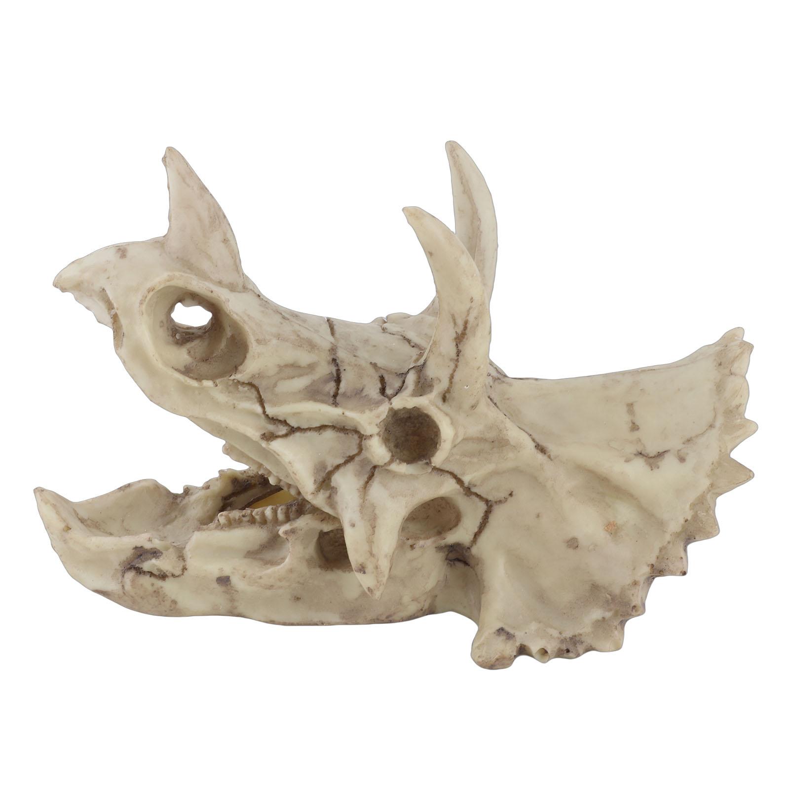 

Resin Dinosaur Triceratops Skull Model Desktop Decor Eco-Friendly Crafts Display