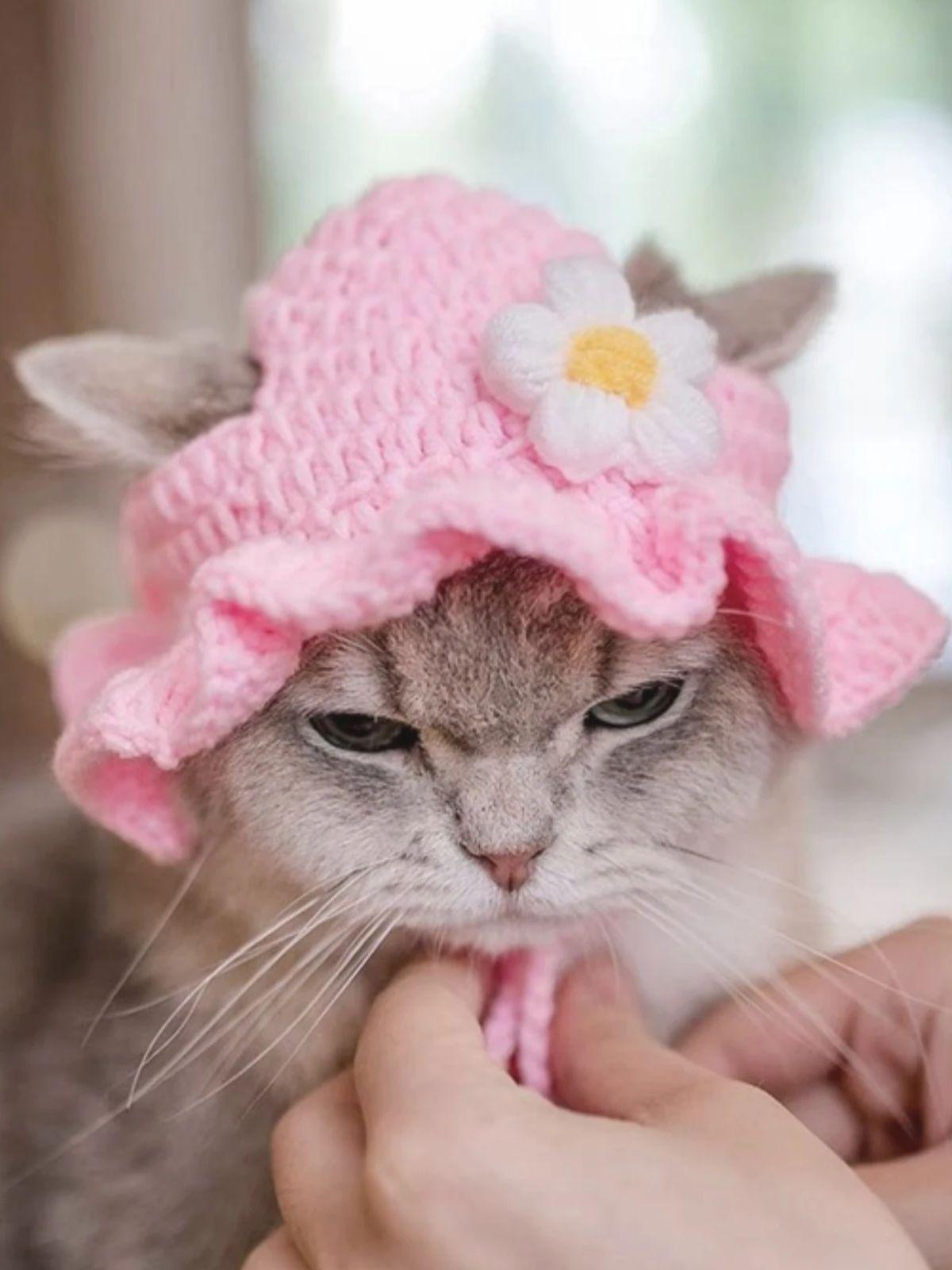 

Hand Hook Knitted Pet Knitted Headset Pet cosplay Props Headwear Funny Transformation Dress Cartoon Animal Flower Hat