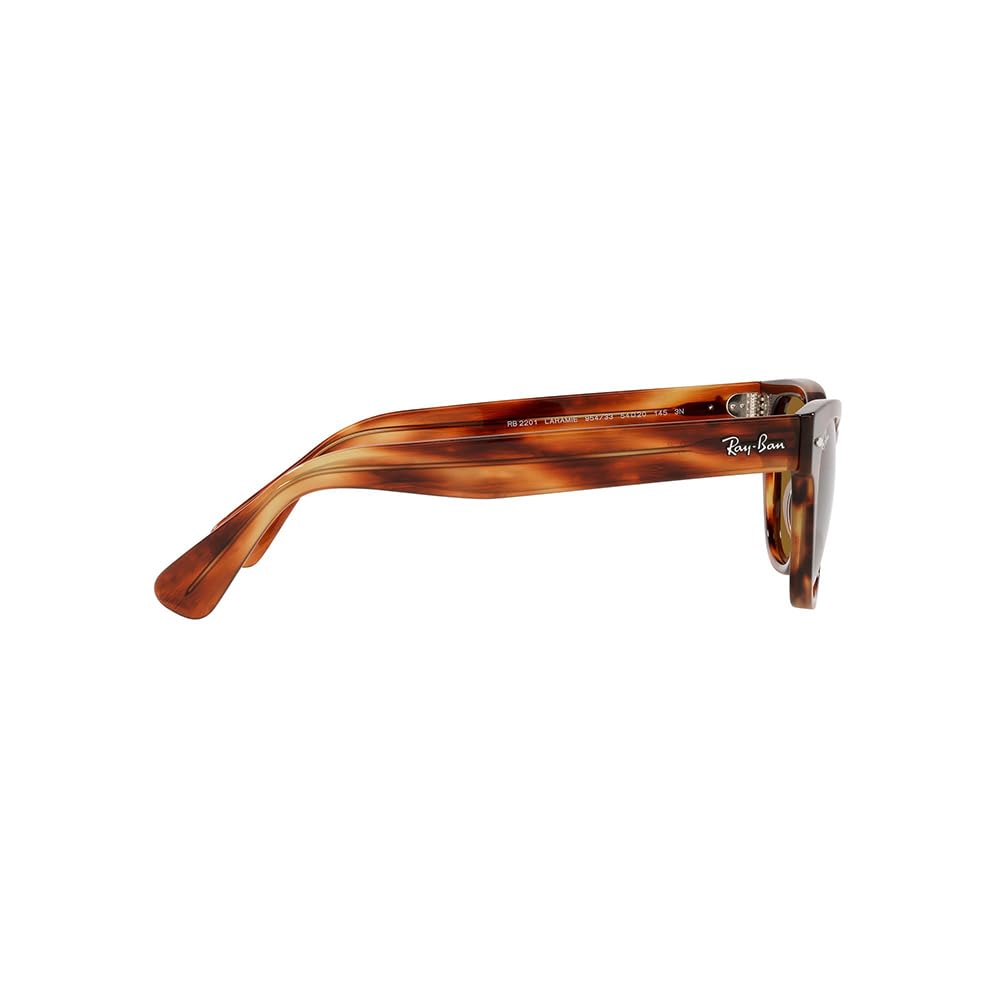 RB2201 Sunglasses STRIPED LENS 54 Ray-Ban Men's 954/33 HAVANA/BROWN