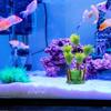 2Pcs Vivid Plastic Aquarium Plants Lifelike Water Grass for Fish Tank Decor Natural Hideout Play Environment Safe Soft Material