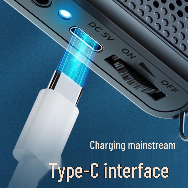 TAKSTAR E126A Portable Voice Amplifier CN plug (adapter included)