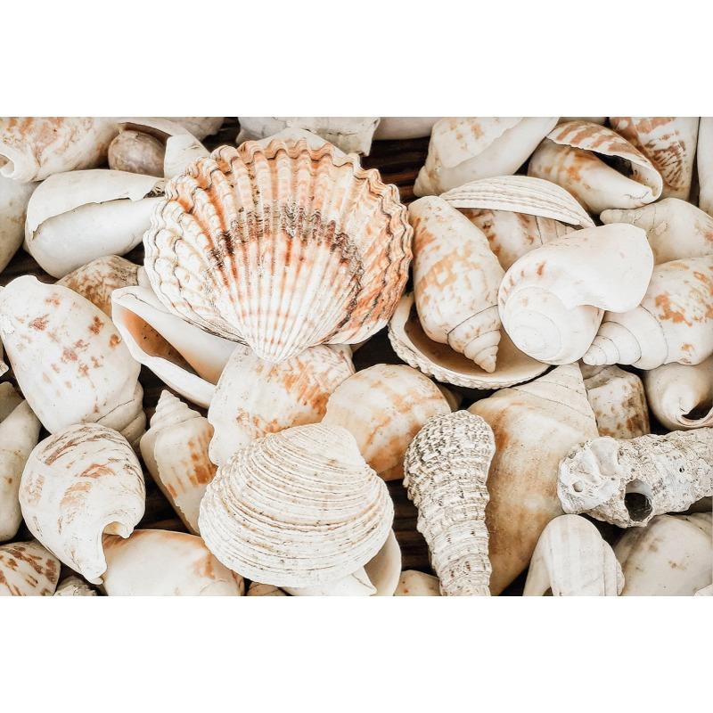 Tropical Summer Beach Shell Palm Tree Surfboard Poster Print Nordic Canvas Printing Wall Art Picture for Surfing Club Home Decor