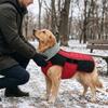 Windproof Dog Winter Coat Thickened Dog Ski Suit Padded Pet Coat Dog Vest Jacket  Outdoor