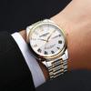 Carnival Brand Luxury Watches for Man Fashion Waterproof Men's Gold Silver Calendar Automatic Mechanical Wristwatch Reloj Hombre