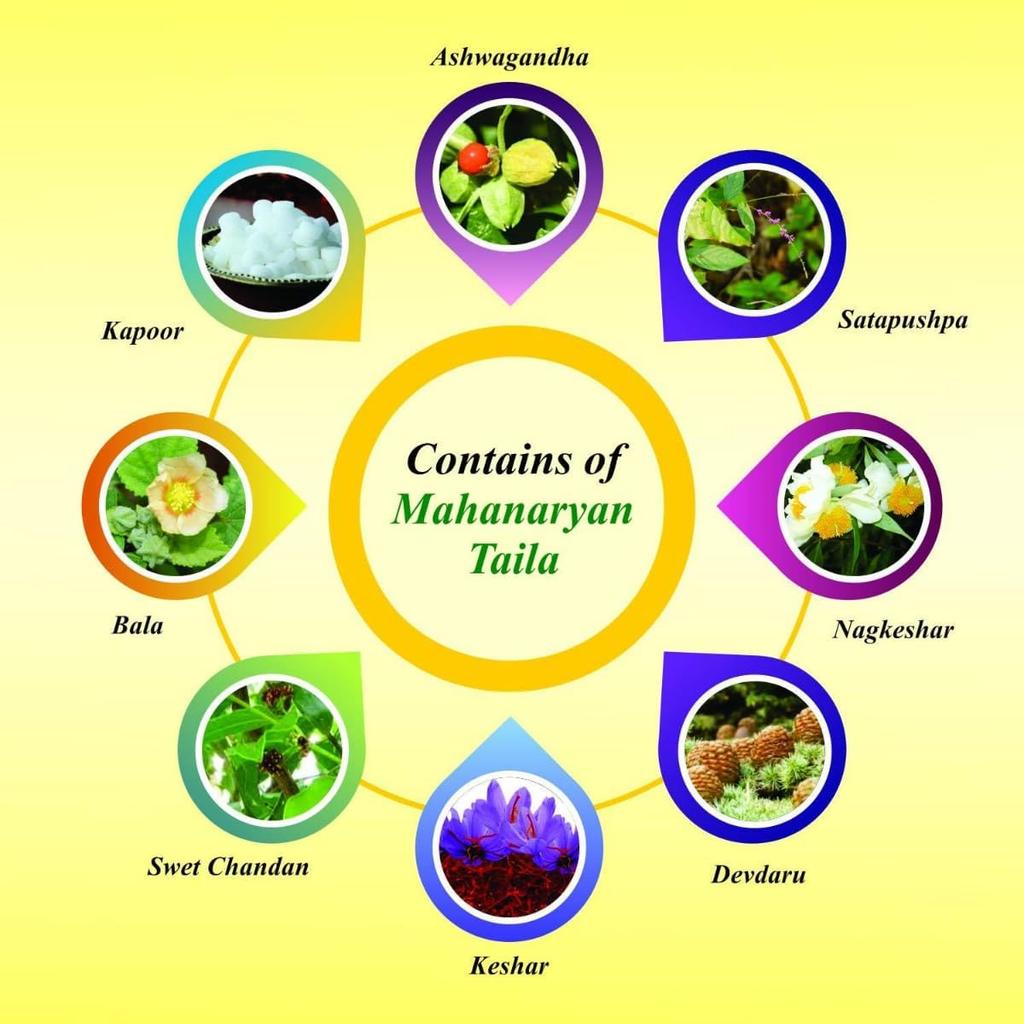 Baidyanath Asli Ayurved Mahanarayana Oil 100ml Pack Of 2 Traditional Herbal Massage Oil For Relaxation