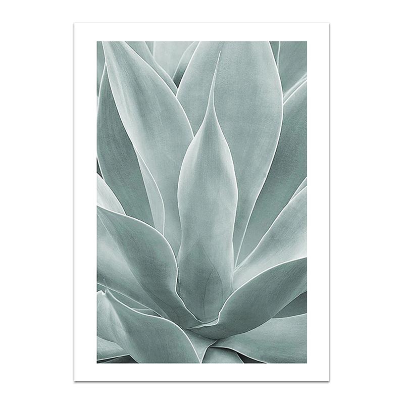 Palm Leaves Plant Art Canvas Painting Aloe Botanical Posters and Prints Modular Wall Pictures for Living Room Home Decoration