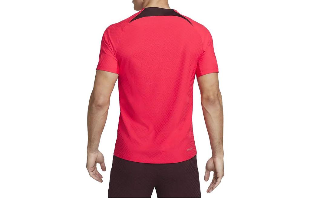 Nike Liverpool Fc Strike Elite 2022/23 T Shirt DM8431-661