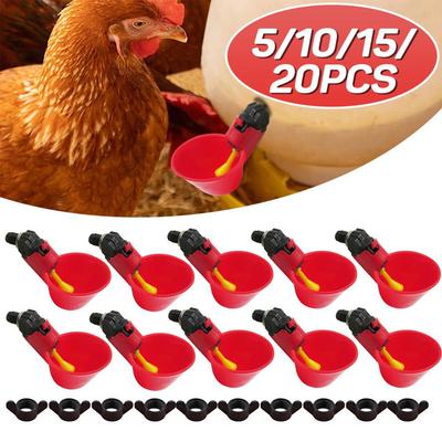 Abbeveratoio Automatico per Pollame per Galline, Anatre e Oche