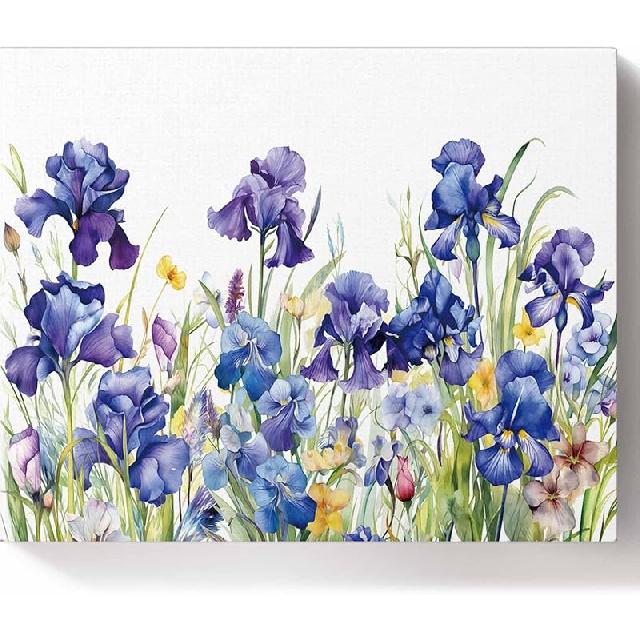 Savannan DIY Paint by Numbers, Spring Summer Iris Flowers Floral Leaves Pastoral Purple Blue Framed Canvas Acrylic Painting Kit Drawing Paintwork for