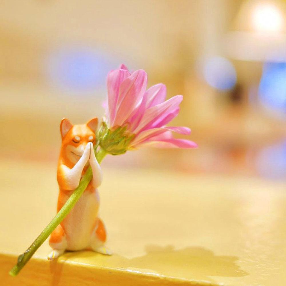 Dolphin Decoration Penguin Collection Figurine Model Action Figures Micro Landscape Miniatures