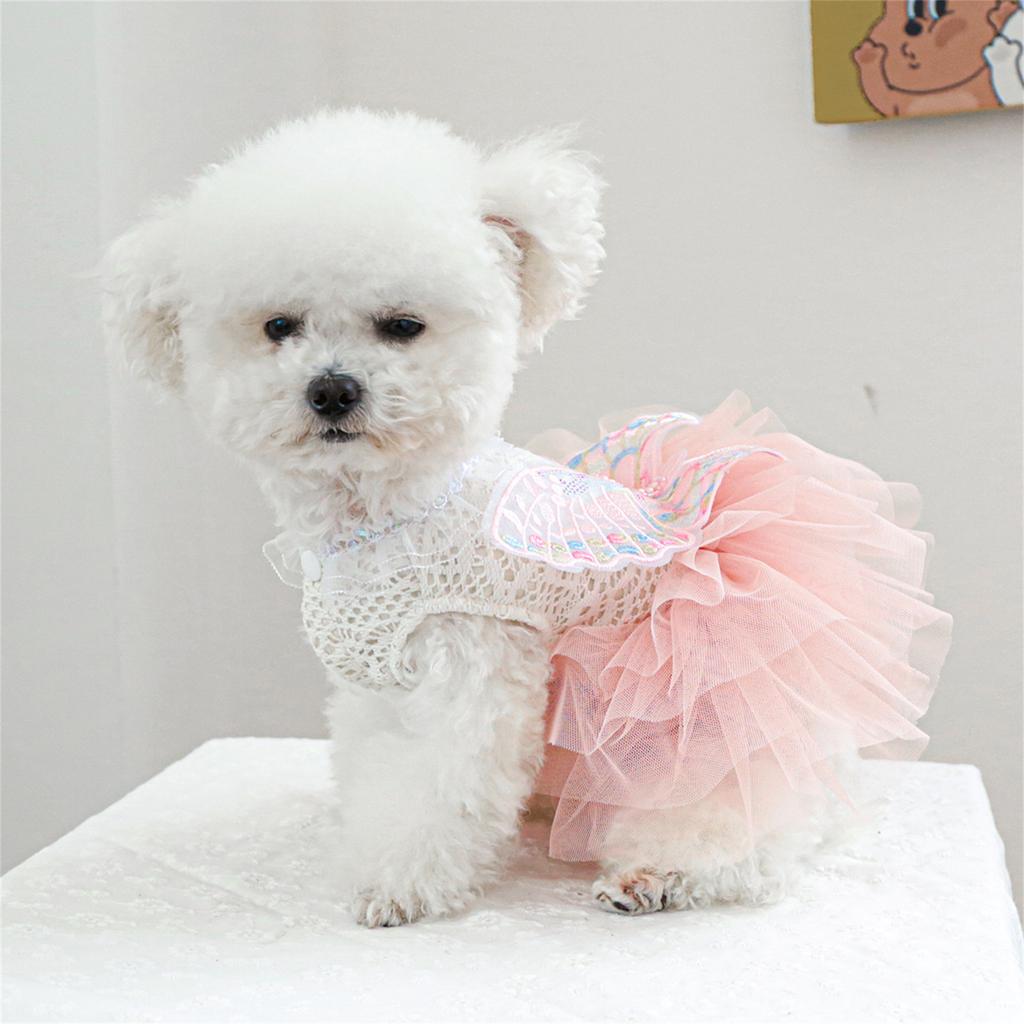 Katzen Kostüm Hochzeitskleid Kleiner Hund Rock Schmetterling Spitze Kleid für Katzen Hunde Fotografie Formeller Anlass Haustier Kostüm