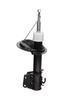 Ft11279 Fast Shock Absorber Front /R Gas