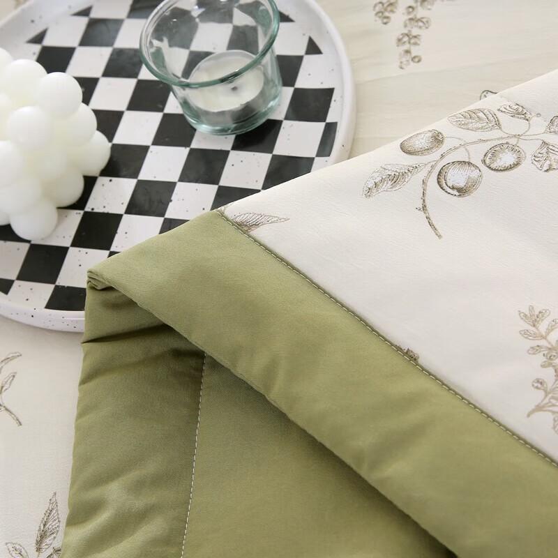 Antibacterial Washed Cotton Summer Quilt