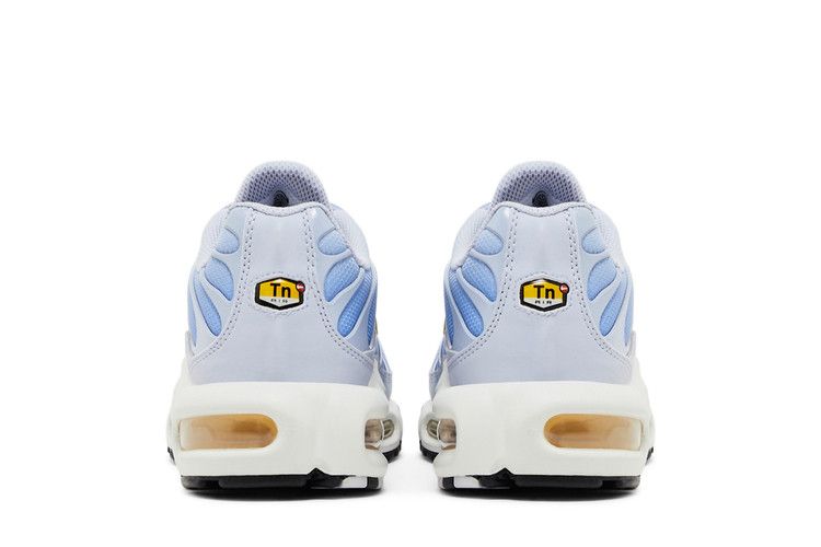 Nike Air Max Plus Daybreak (Women's)