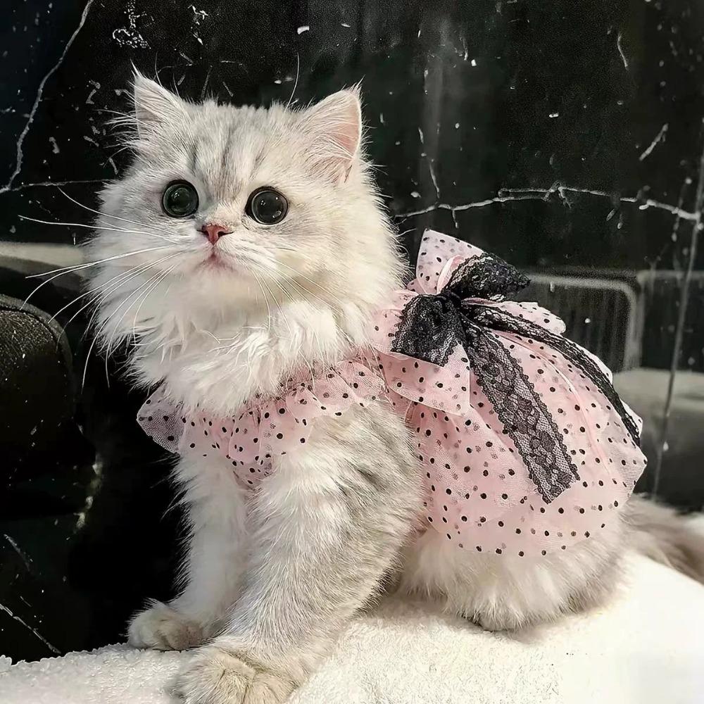 Thin Polka Dot Cat Dress Soft Fabric Pet Tutu Skirt Dogs Polka Dot Lace Dress For Small Dogs Cats