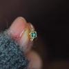 925 Sterling Silver Electroplated 14K Gold French Retro Green Zircon Earrings for Women Exquisite Ear Accessories