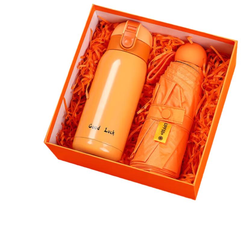 Stainless Steel Insulated Cup Gift Set