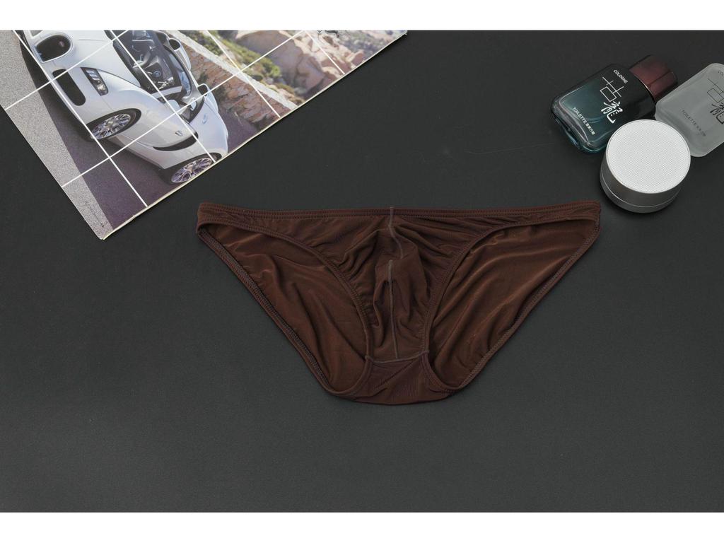 Men's Sexy Transparent Nylon Ice Silk Low Waist Briefs