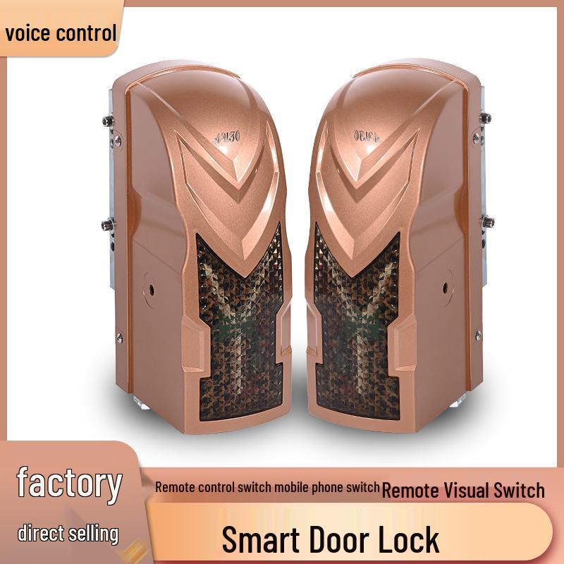 Courtyard Eight-Character Face Recognition Auto Door Opener for Electric Sliding Push-Pull Doors 001