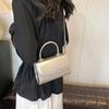 Chic And Trendy Pu Shoulder Bag For Women 2024 Casual Street Style Small Crossbody Bag