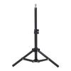 Alloy Bird Training Perch Adjustable Height Outdoor Bird Stand  Indoor Play Area