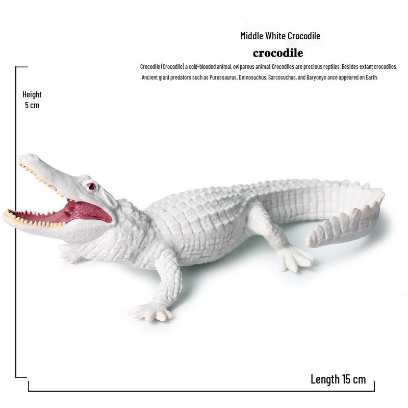 Yangtze Crocodile Heart Model - Realistic Animal Toy Car Ornament