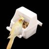 Budgies Plastic Parakeet Parrot Cockatiel Bird Feeder Feeding Cup Food Dispenser Drinking Bowl