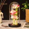 Preserved Rose In Glass Dome LED Light Up Eternal Flower Romantic Forever Rose Gift for Women Valentine's Day Mother's Day