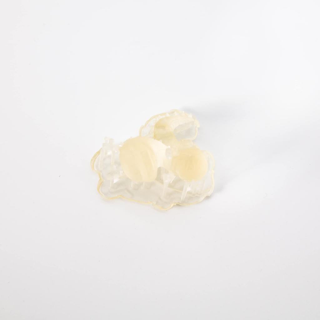 SK Honpo SK Washable Resin for Stereolithography LCD DLP 3D Printers (1000g, Clear)