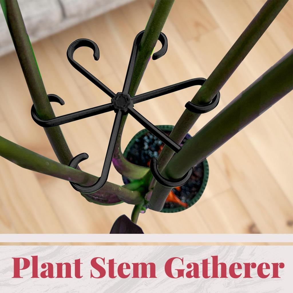 4Pc Plants Stem Support Climbing Houseplant Stand Plastic Trellis Easy Installation Vine Plants Trellis for Indoor Outdoor Plant