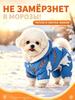 High-quality winter jumpsuit on sintepon, created for small dogs, insulated and at the same time dut.