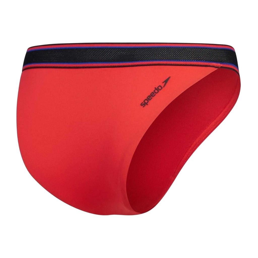 Speedo Womens/Ladies V-Cut Swimming Swim Briefs