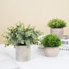 4 Pack Artificial Mini Potted Plants Fake Small Greenery Eucalyptus Plants In Pots for Home Office Desk Table Indoor Decor
